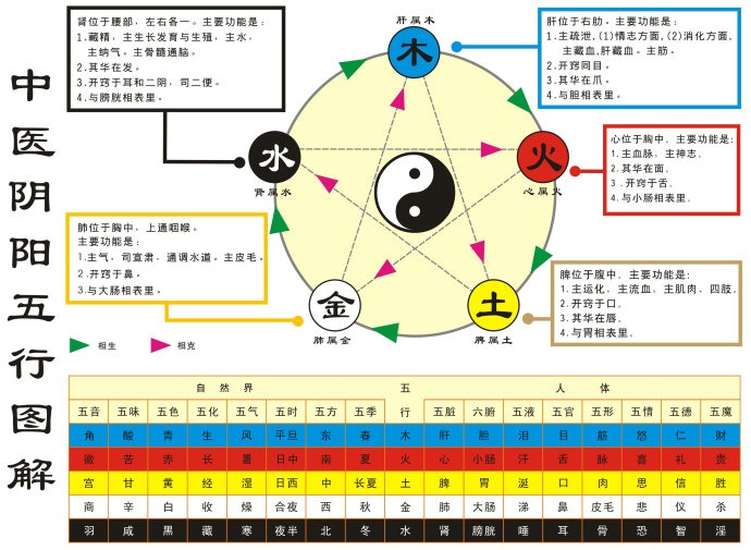 一级中医核心：阴阳五行学说 &mdash;&mdash; 人体健康的底层逻辑